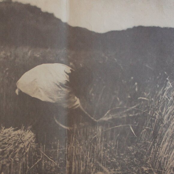 THE APACHE REAPER #66 Edward Sheriff Curtis Print - Picture 4 of 7